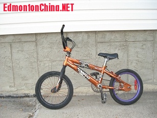 ��ɫ16�� 002.JPG