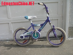 16����ɫ 008.JPG