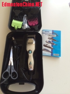 ������������������ȫ