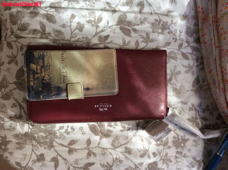 F51352 ��25cm ��13