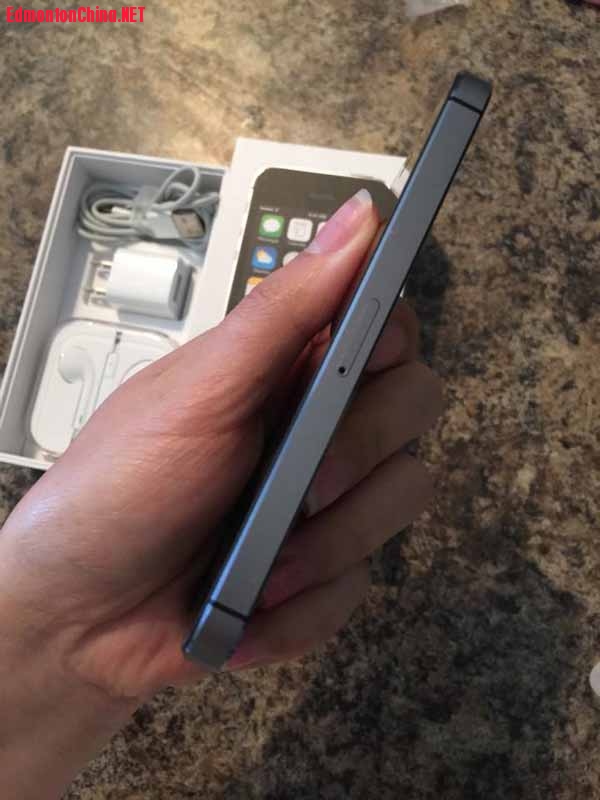 10710999_4715451700141_87065 ��ؐ.jpg