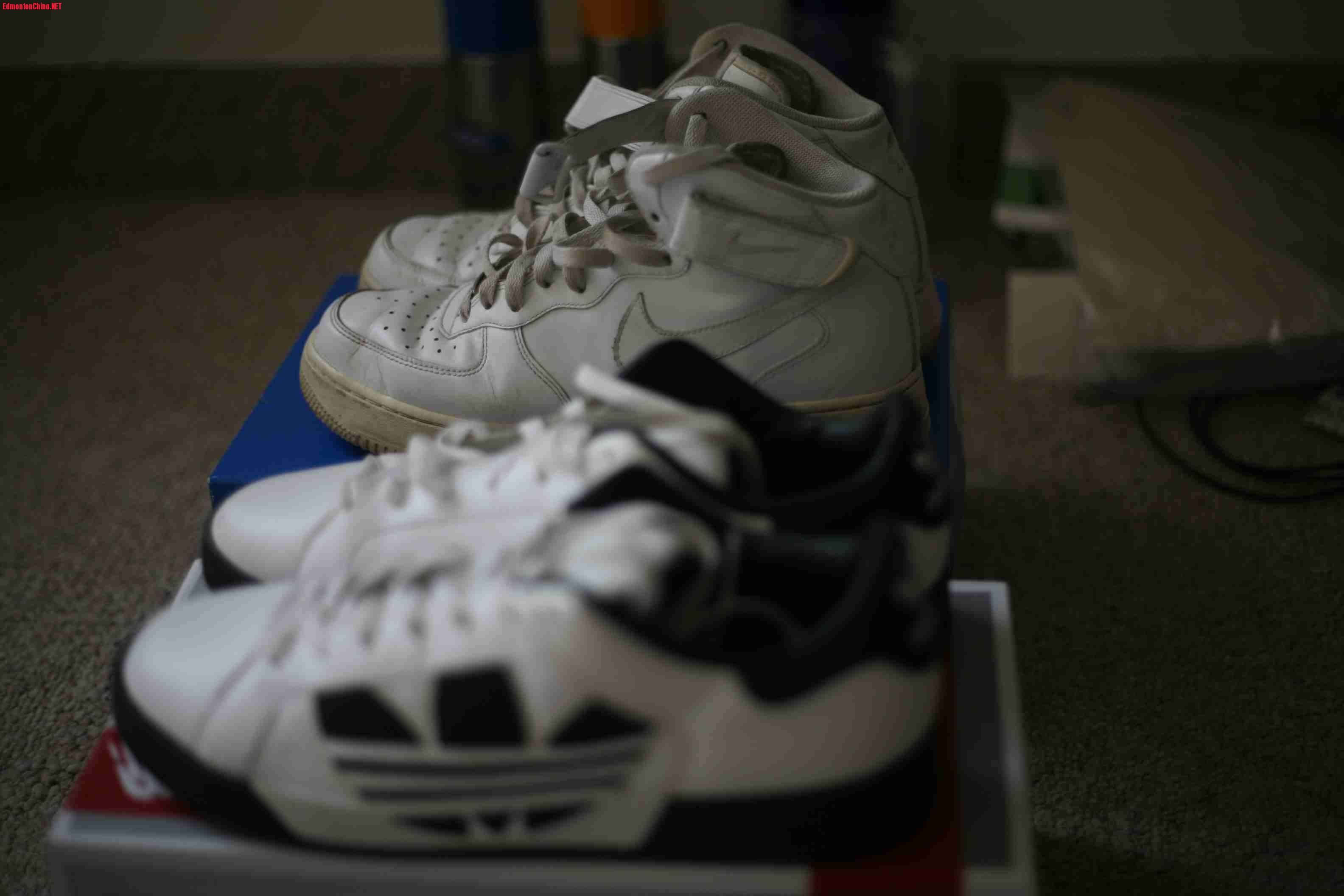 �˶�Ь������20���Ϳ�40����cleaner��protector��