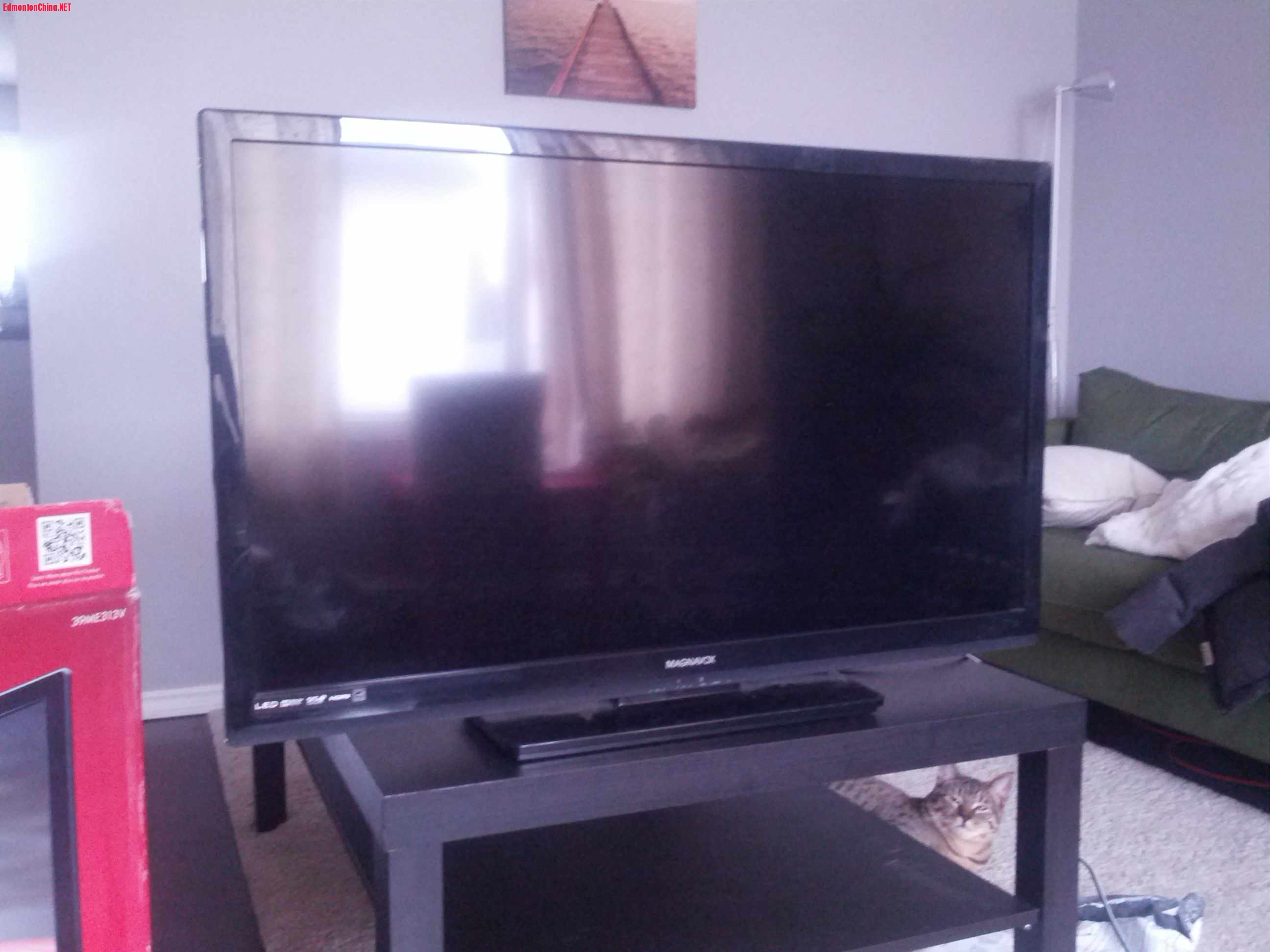 39inch���ӻ�