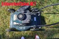 fxf 007_����.jpg