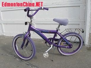 20����ɫ2004.JPG