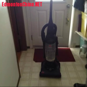 ǿ��������