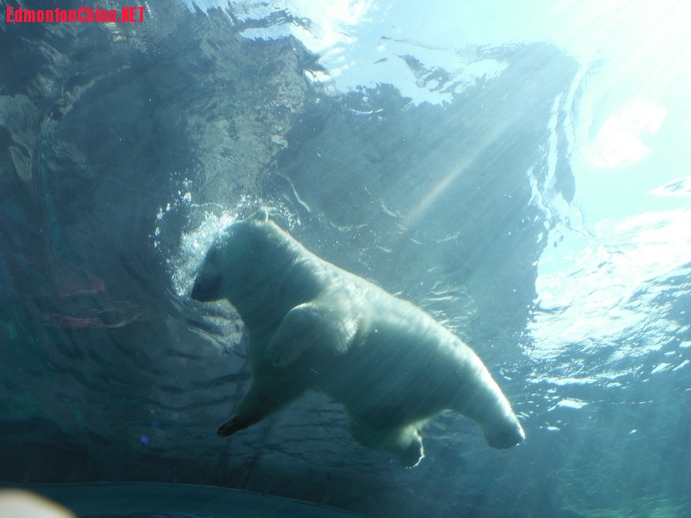DSCF4909.JPG
