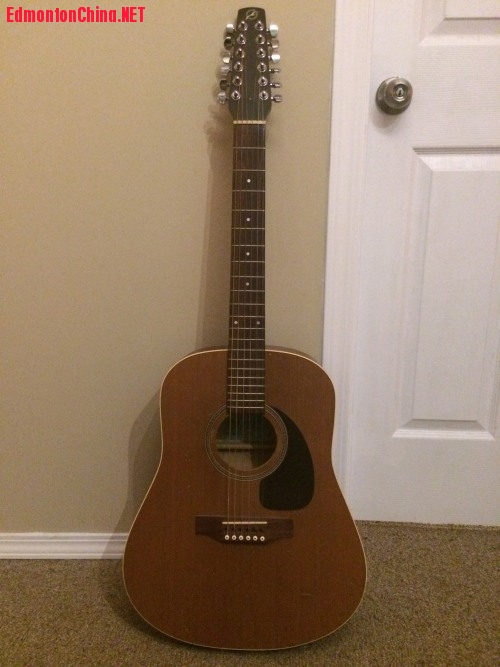 seagull s12���� 0