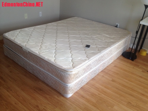queensize 50��