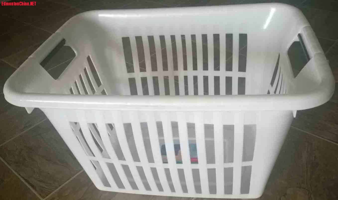 ϴ�¿� ��Ʒ.jpg