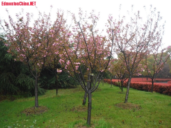 DSCF9238.JPG