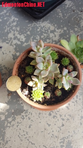 $5 ���