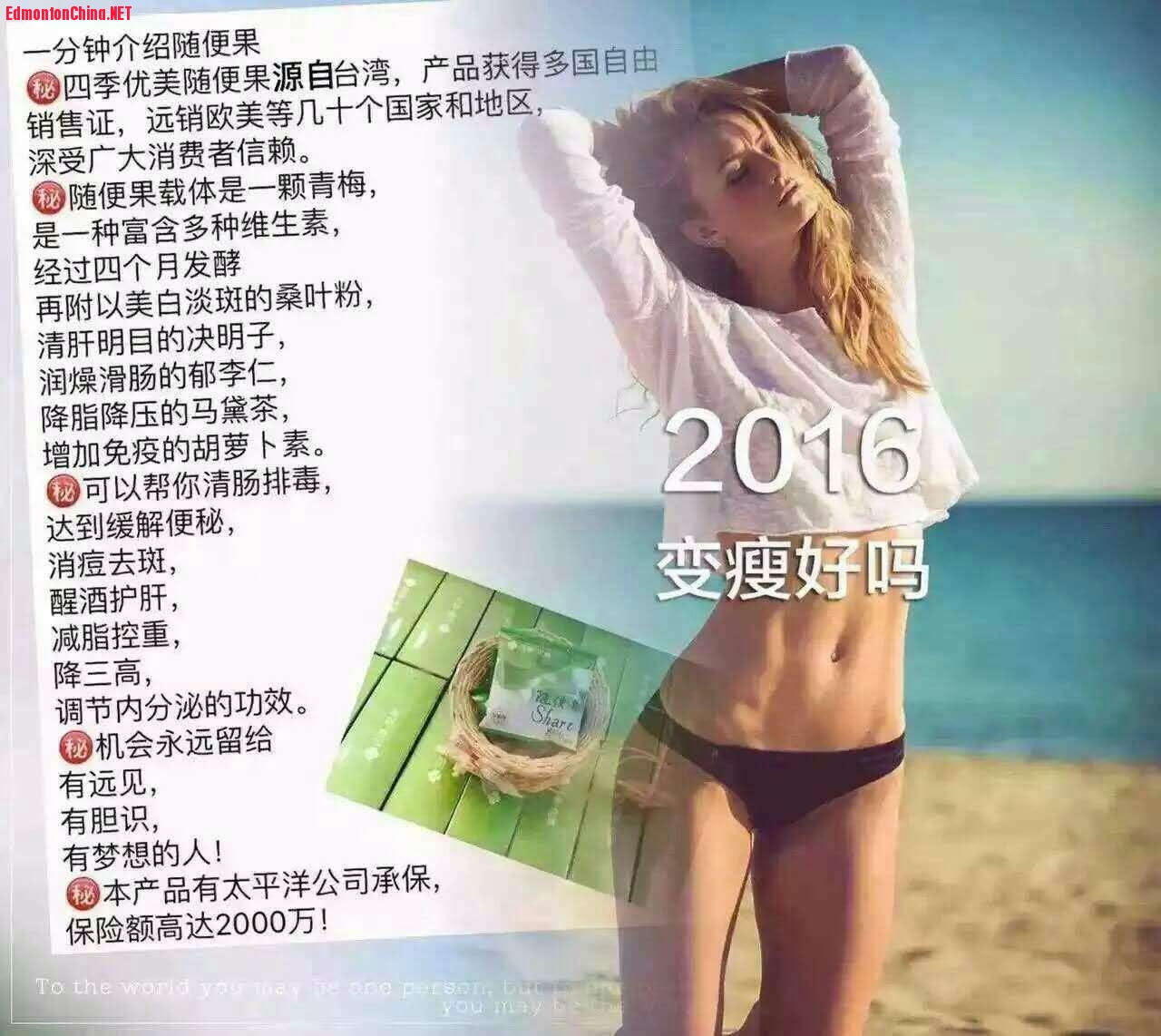 ����--�Ŷ���ʳ