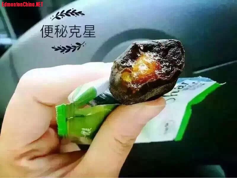 ����--�Ŷ�����