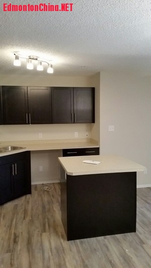 File 2016-11-23, Kitchen Zoomed Kijiji.jpg