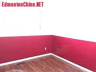 10916 main floor 8.jpg