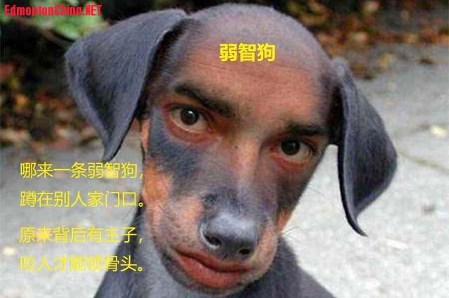 8eb3-hfqtahh7911012.jpg