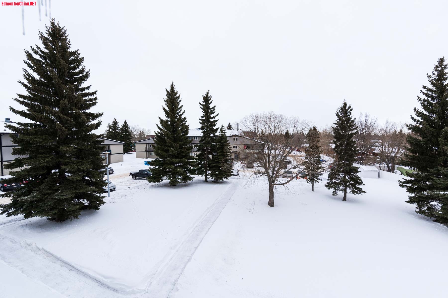 22-DSC_4437.jpg