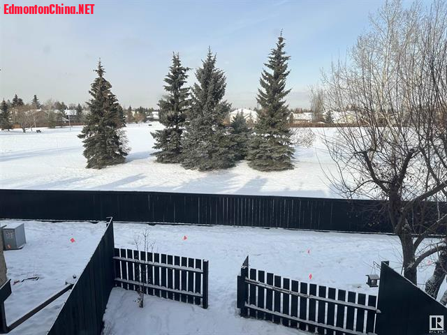 225239138-36.jpg 225239138-36.jpg