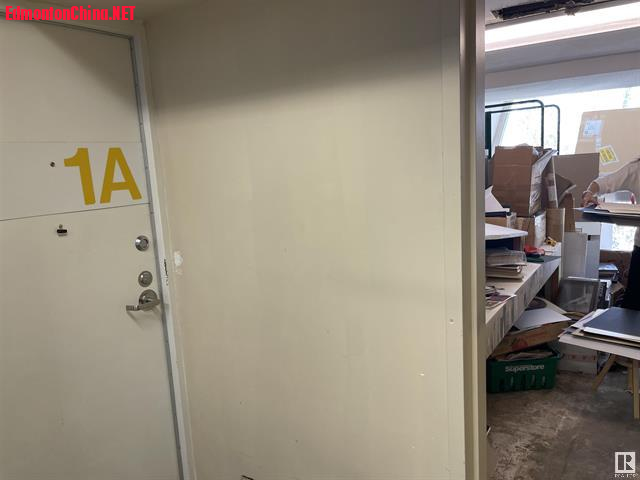 225275921-13.jpg