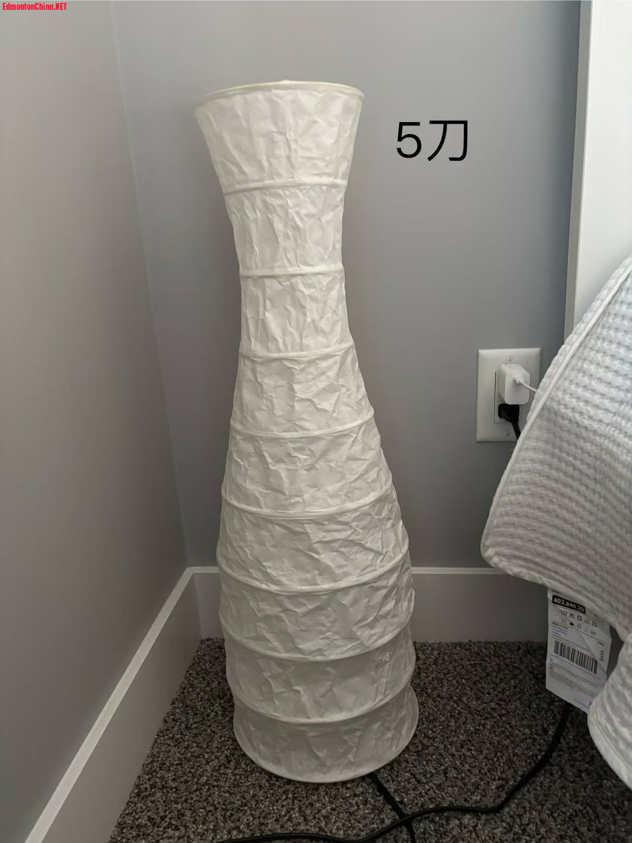 IMG_6588.jpeg