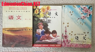 Chinese Textbooks Grade 5.jpg